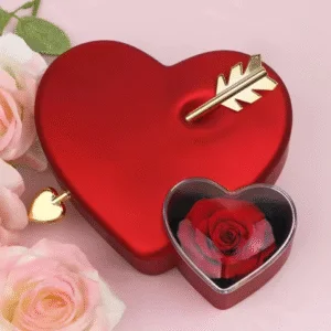 Arrow Heart Boxes